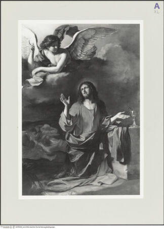 Vorderseite von bh559400_recto