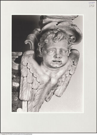 Vorderseite von Sigismondi, Roberto [http://creativecommons.org/licenses/by-nc-sa/4.0/] Altar des heiligen Elzearius von Sabran - Detail: Engel, bh559610_recto. Foto: Sigismondi, Roberto.