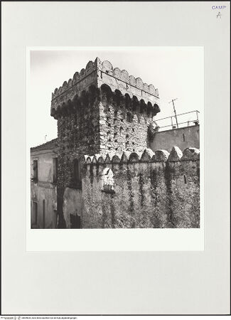 Vorderseite von Sigismondi, Roberto [http://creativecommons.org/licenses/by-nc-sa/4.0/] Palazzo della Torre Merlata - Detail, Zinnengekrönter Turm, bh559635_recto. Foto: Sigismondi, Roberto.