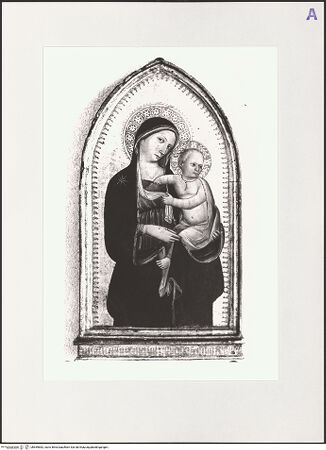 Vorderseite von bh559682_recto