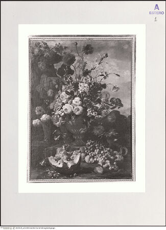 Vorderseite von bh559742_recto