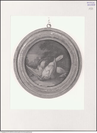 Vorderseite von bh559798_recto