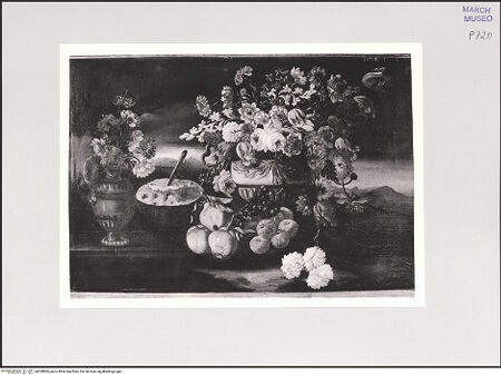 Vorderseite von bh559806_recto