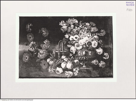 Vorderseite von bh559807_recto