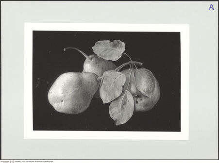 Vorderseite von bh559822_recto