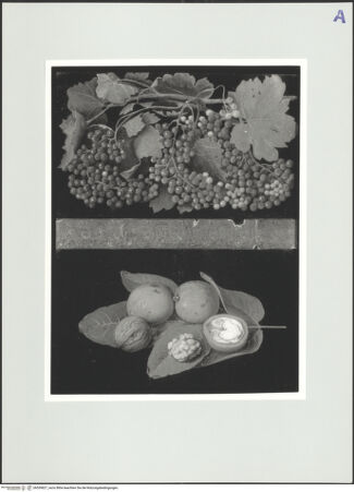 Vorderseite von bh559827_recto