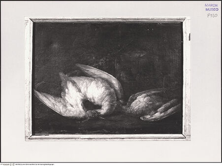 Vorderseite von bh559834_recto