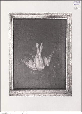 Vorderseite von bh559835_recto