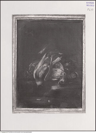 Vorderseite von bh559836_recto