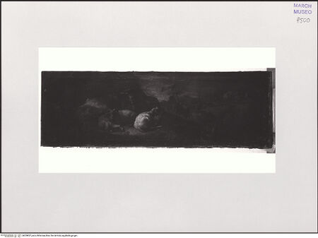 Vorderseite von bh559837_recto