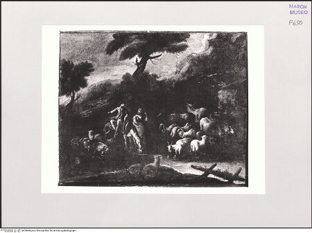 Vorderseite von bh559840_recto