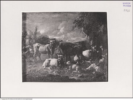 Vorderseite von bh559843_recto