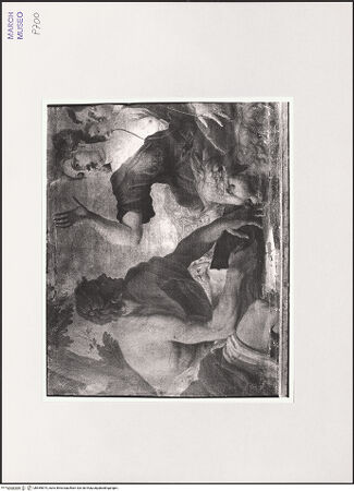 Vorderseite von bh559874_recto