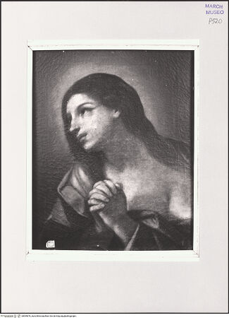 Vorderseite von bh559876_recto