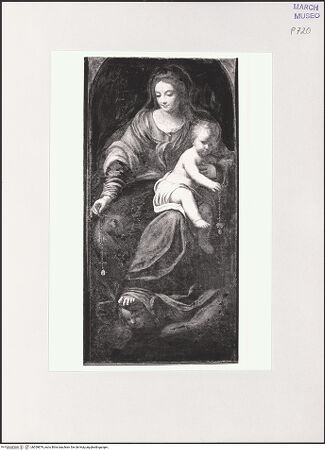 Vorderseite von bh559879_recto