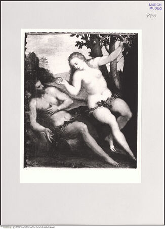 Vorderseite von bh559916_recto