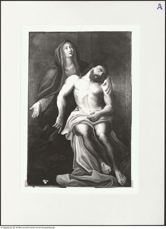 Vorderseite von bh559932_recto