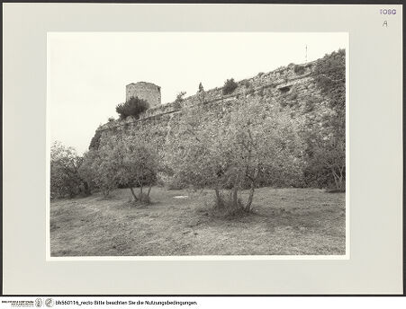 Vorderseite von bh560116_recto