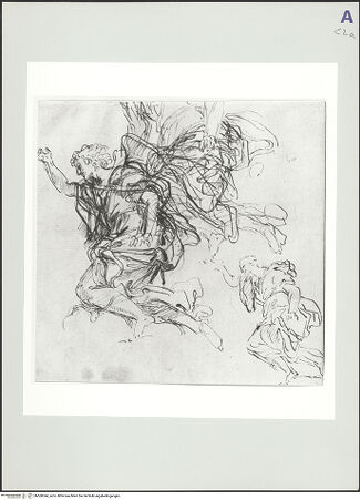 Vorderseite von bh560344_recto