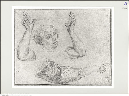 Vorderseite von bh560345_recto