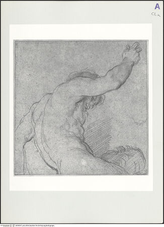 Vorderseite von bh560347_recto