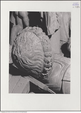 Vorderseite von Deutsches Archäologisches Institut Rom & Museo Archeologico Nazionale [https://www.deutsche-digitale-bibliothek.de/content/lizenzen/rv-ez/] Kolossalbüste des Tiberius - Ansicht von oben, bh560353_recto. Foto.