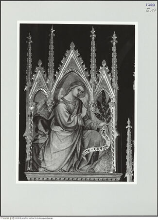 Vorderseite von bh560486_recto