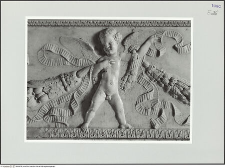 Vorderseite von bh560520_recto