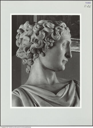 Vorderseite von bh560525_recto