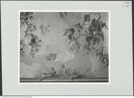 Vorderseite von bh560567_recto