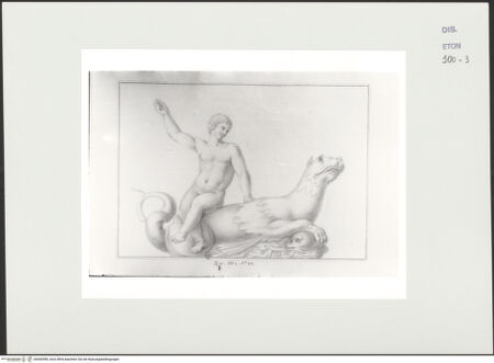 Vorderseite von Courtauld Institute, Conway Library [https://www.deutsche-digitale-bibliothek.de/content/lizenzen/rv-ez/] Putto, auf einem Seeungeheuer sitzend (Sarkophagrelief, Villa Borghese, Rom) - , bh560598_recto. Foto.