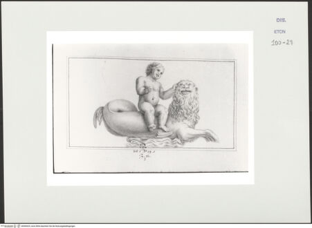 Vorderseite von Courtauld Institute, Conway Library [https://www.deutsche-digitale-bibliothek.de/content/lizenzen/rv-ez/] Putto auf einem Seeungeheuer (Relief, Villa Borghese, Rom) - , bh560629_recto. Foto.