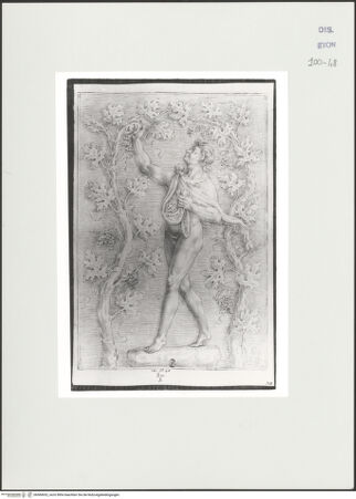 Vorderseite von Courtauld Institute, Conway Library [https://www.deutsche-digitale-bibliothek.de/content/lizenzen/rv-ez/] Satyr bei der Weinlese (Sockelrelief der Statue des Marsyas, Villa Borghese, Rom) - , bh560652_recto. Foto.