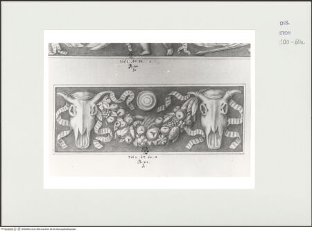 Vorderseite von Courtauld Institute, Conway Library [https://www.deutsche-digitale-bibliothek.de/content/lizenzen/rv-ez/] Relief mit Girlande und zwei Stierschädeln (Villa Borghese, Rom) - , bh560666_recto. Foto.