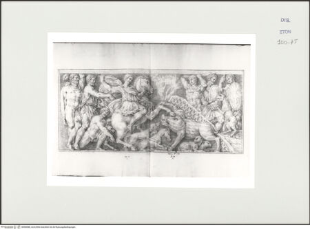 Vorderseite von Courtauld Institute, Conway Library [https://www.deutsche-digitale-bibliothek.de/content/lizenzen/rv-ez/] Die Calydonische Jagd (?) (Sarkophagrelief, Villa Borghese, Rom) - , bh560680_recto. Foto.