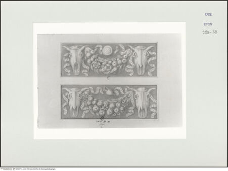 Vorderseite von Courtauld Institute, Conway Library [https://www.deutsche-digitale-bibliothek.de/content/lizenzen/rv-ez/] Zwei Reliefs mit Girlanden und Bukranien (Villa Borghese, Rom) - , bh560724_recto. Foto.