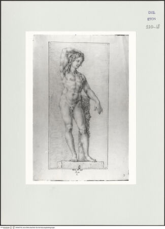 Vorderseite von Courtauld Institute, Conway Library [https://www.deutsche-digitale-bibliothek.de/content/lizenzen/rv-ez/] Bacchusstatue (Villa Borghese, Rom) - , bh560745_recto. Foto.