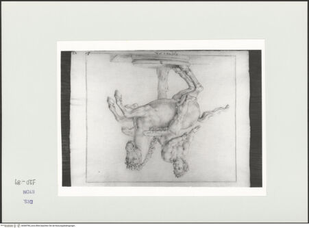 Vorderseite von Courtauld Institute, Conway Library [https://www.deutsche-digitale-bibliothek.de/content/lizenzen/rv-ez/] Putto, auf Pegasus reitend (Statue, Villa Borghese, Rom) - , bh560784_recto. Foto.