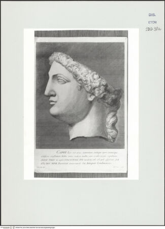 Vorderseite von Courtauld Institute, Conway Library [https://www.deutsche-digitale-bibliothek.de/content/lizenzen/rv-ez/] Kopf der Minerva im Profil (Statuenfragment, Villa Borghese?, Rom) - , bh560794_recto. Foto.