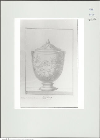 Vorderseite von Courtauld Institute, Conway Library [https://www.deutsche-digitale-bibliothek.de/content/lizenzen/rv-ez/] Urne mit ornamentaler Blattranke (Villa Altieri, Rom) - , bh560902_recto. Foto.