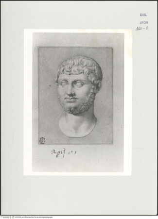 Vorderseite von Courtauld Institute, Conway Library [https://www.deutsche-digitale-bibliothek.de/content/lizenzen/rv-ez/] Kopf eines jungen Mannes (Relief, Palazzo Verospi, Rom) - , bh560968_recto. Foto.