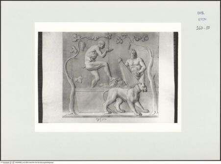 Vorderseite von Courtauld Institute, Conway Library [https://www.deutsche-digitale-bibliothek.de/content/lizenzen/rv-ez/] Kelternde Satyrn (Relief, Palazzo Verospi, Rom) - , bh560980_recto. Foto.