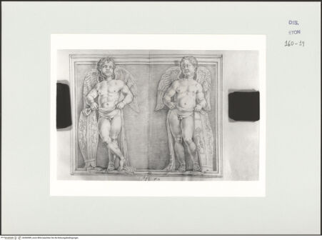 Vorderseite von Courtauld Institute, Conway Library [https://www.deutsche-digitale-bibliothek.de/content/lizenzen/rv-ez/] Zwei Putten mit Schilden (Relief, Palazzo Verospi, Rom) - , bh560989_recto. Foto.