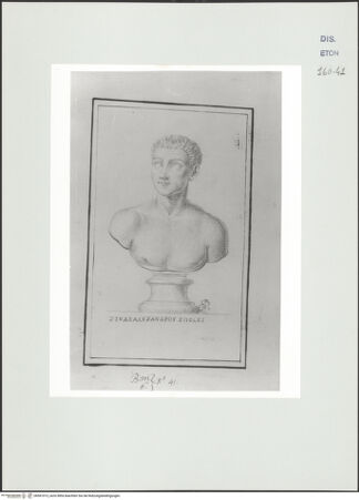 Vorderseite von Courtauld Institute, Conway Library [https://www.deutsche-digitale-bibliothek.de/content/lizenzen/rv-ez/] Büste eines nackten jungen Mannes (Villa Albani, Rom) - , bh561013_recto. Foto.