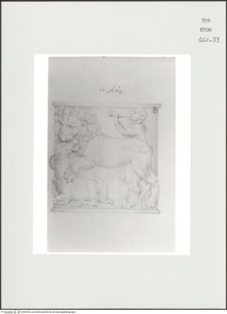 Vorderseite von Courtauld Institute, Conway Library [https://www.deutsche-digitale-bibliothek.de/content/lizenzen/rv-ez/] Männliche Gewandfigur und Löwe, der ein Pferd (?) reißt (Sarkophagrelief, Palazzo Vitelleschi, Rom) - , bh561029_recto. Foto.