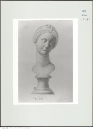 Vorderseite von Courtauld Institute, Conway Library [https://www.deutsche-digitale-bibliothek.de/content/lizenzen/rv-ez/] Venuskopf (Palazzo Ridolfi, Florenz) - , bh561044_recto. Foto.