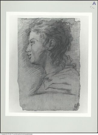 Vorderseite von bh561147_recto