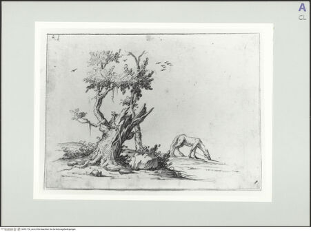 Vorderseite von bh561156_recto