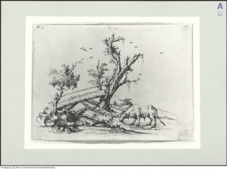 Vorderseite von bh561157_recto