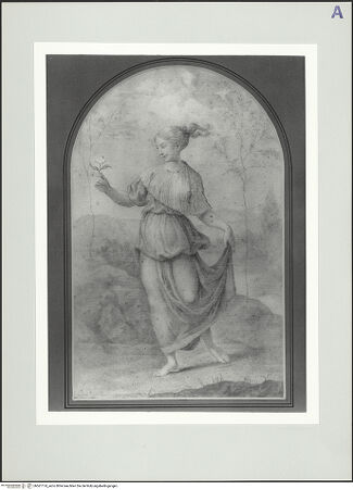 Vorderseite von bh561174_recto